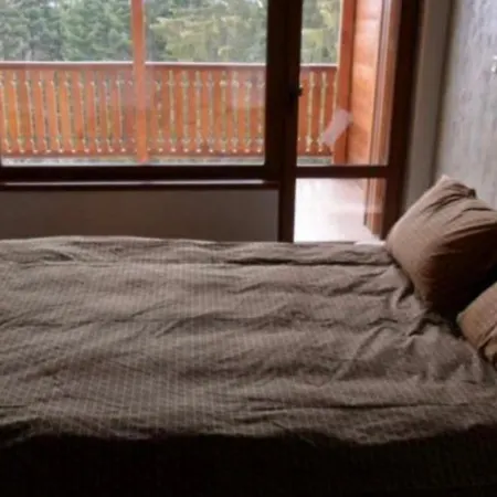 Apartamento Sequoia Loft Borovets